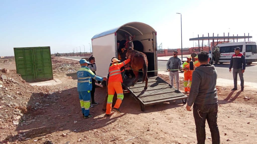 WhatsApp-Image-2025-02-07-at-18.08.36-1-1536×865