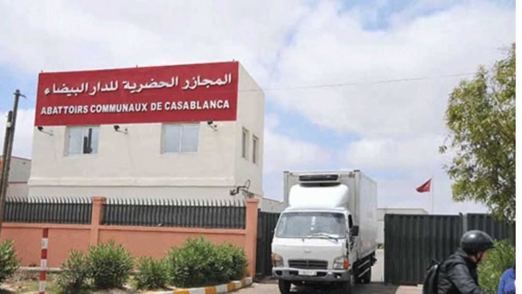 FB_IMG_1747056219497