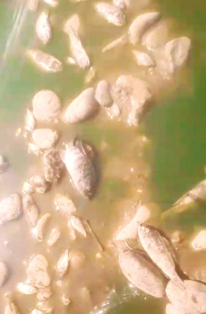 Screenshot_٢٠٢٥٠٧٠٣_١٠٢٦٢١_WhatsAppBusiness~3