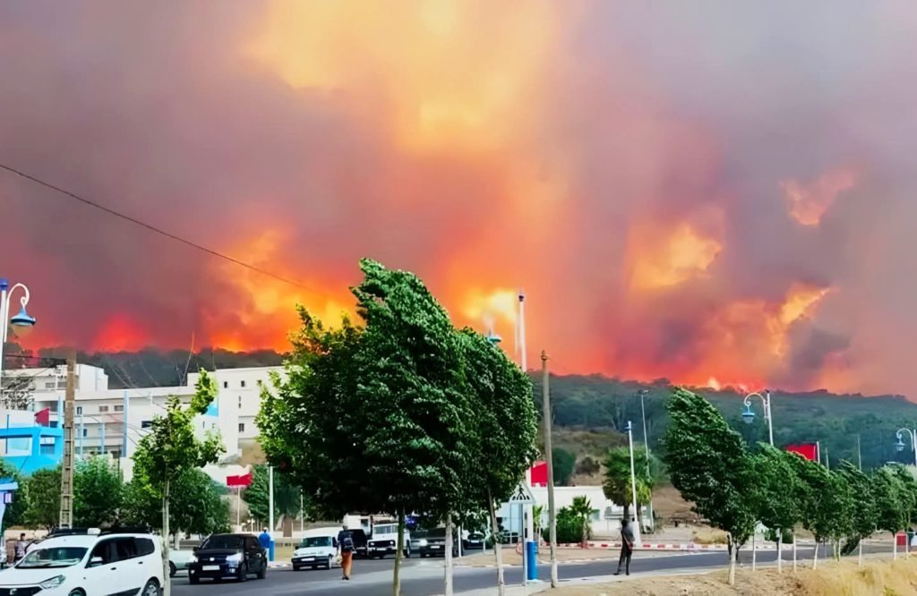 FB_IMG_1755090697879