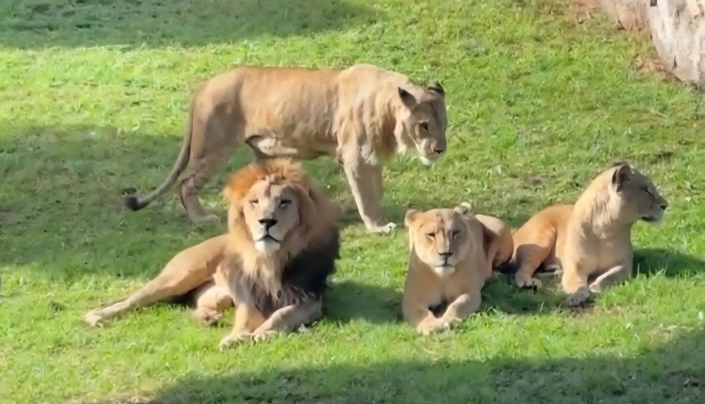 FB_IMG_1767097614107