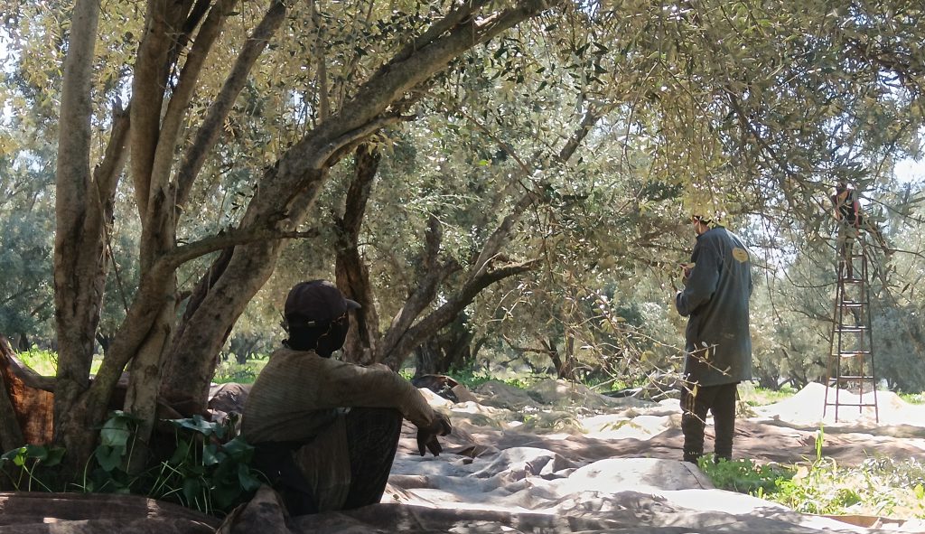 IMG_20260218_125453_edit_836131835599681