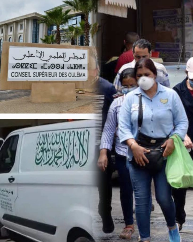 InShot_20260227_154733765