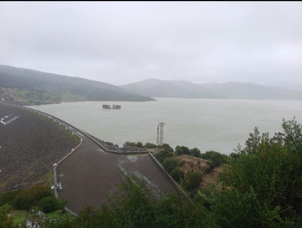 Screenshot_20260204_165915_com_twitter_android_GalleryActivity