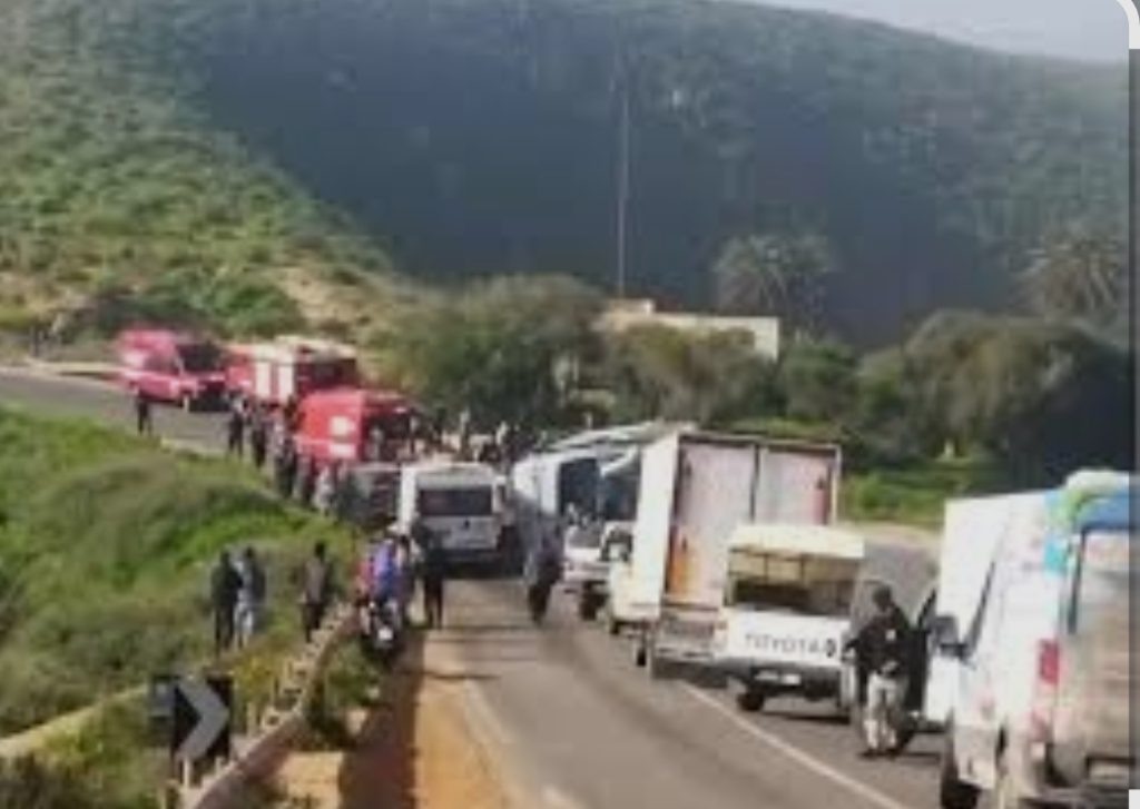 Screenshot_20260221_140359_com_google_android_googlequicksearchbox_LensExportedAct