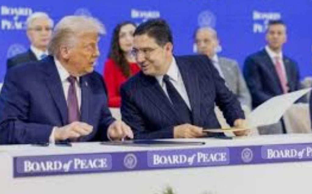 Screenshot_20260222_202519_com_google_android_googlequicksearchbox_LensExportedAct