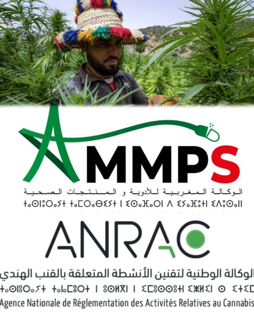 InShot_20260314_115548835