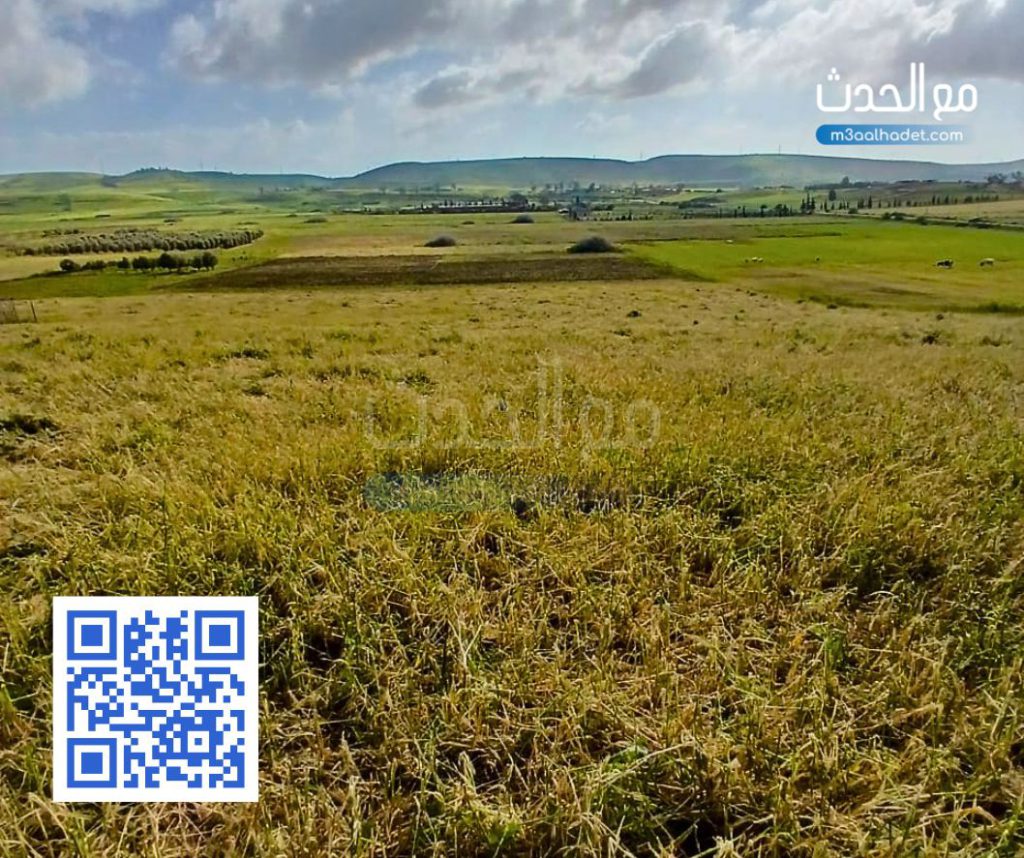 تصميم بدون عنوان