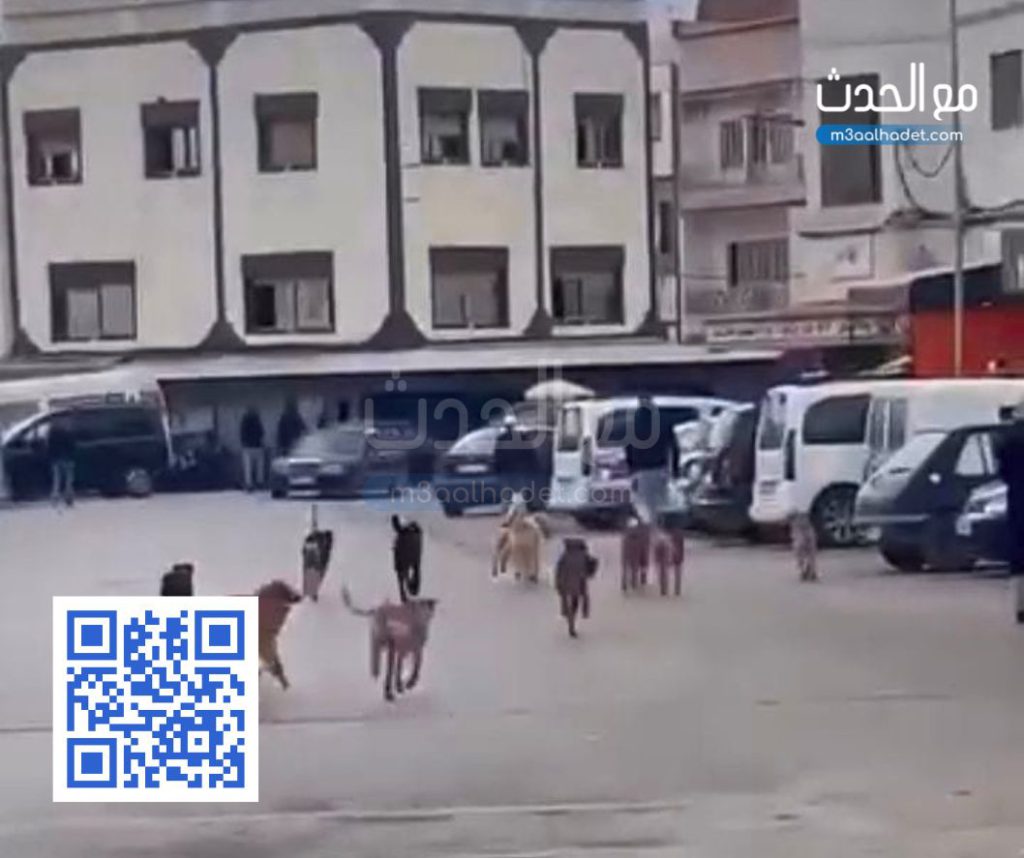 تصميم بدون عنوان