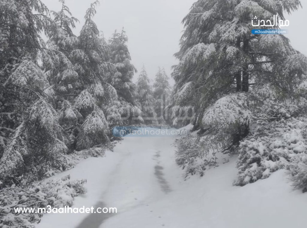 تصميم بدون عنوان