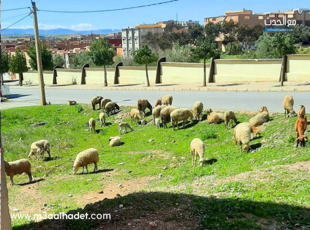 تصميم بدون عنوان