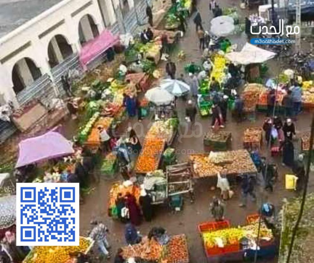 تصميم بدون عنوان