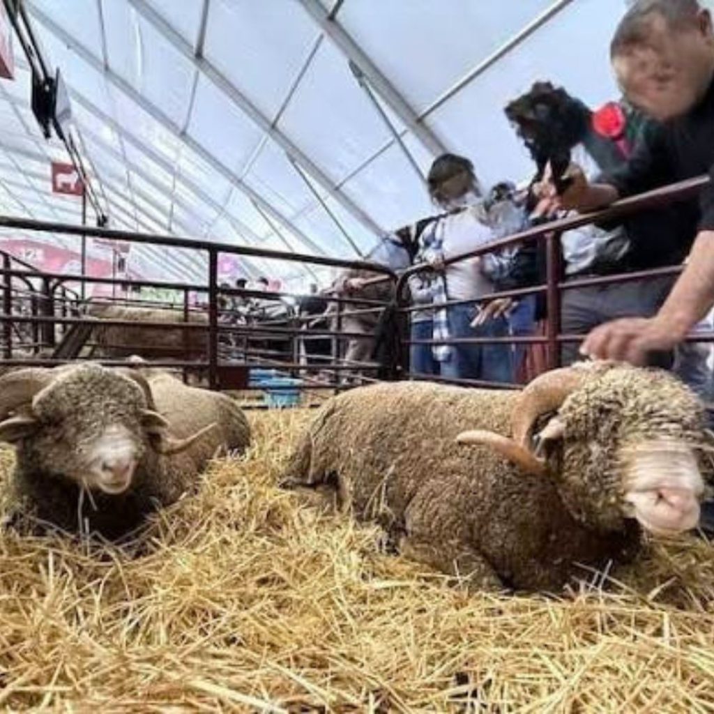 Blue Online Doctor Consultation Instagram Post