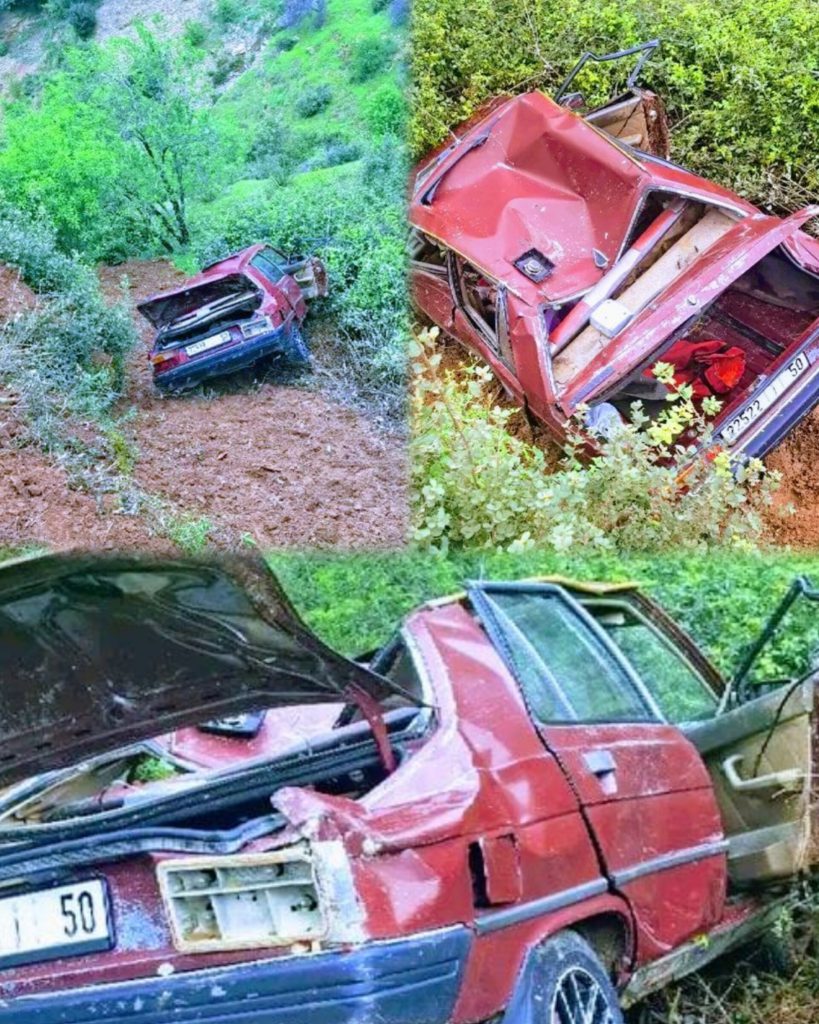 InShot_20260408_204044802