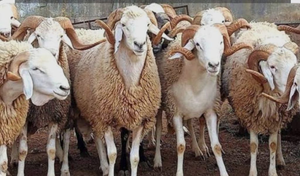 fa3fe398-02ae-49dd-b2d9-ea193f6d0acb