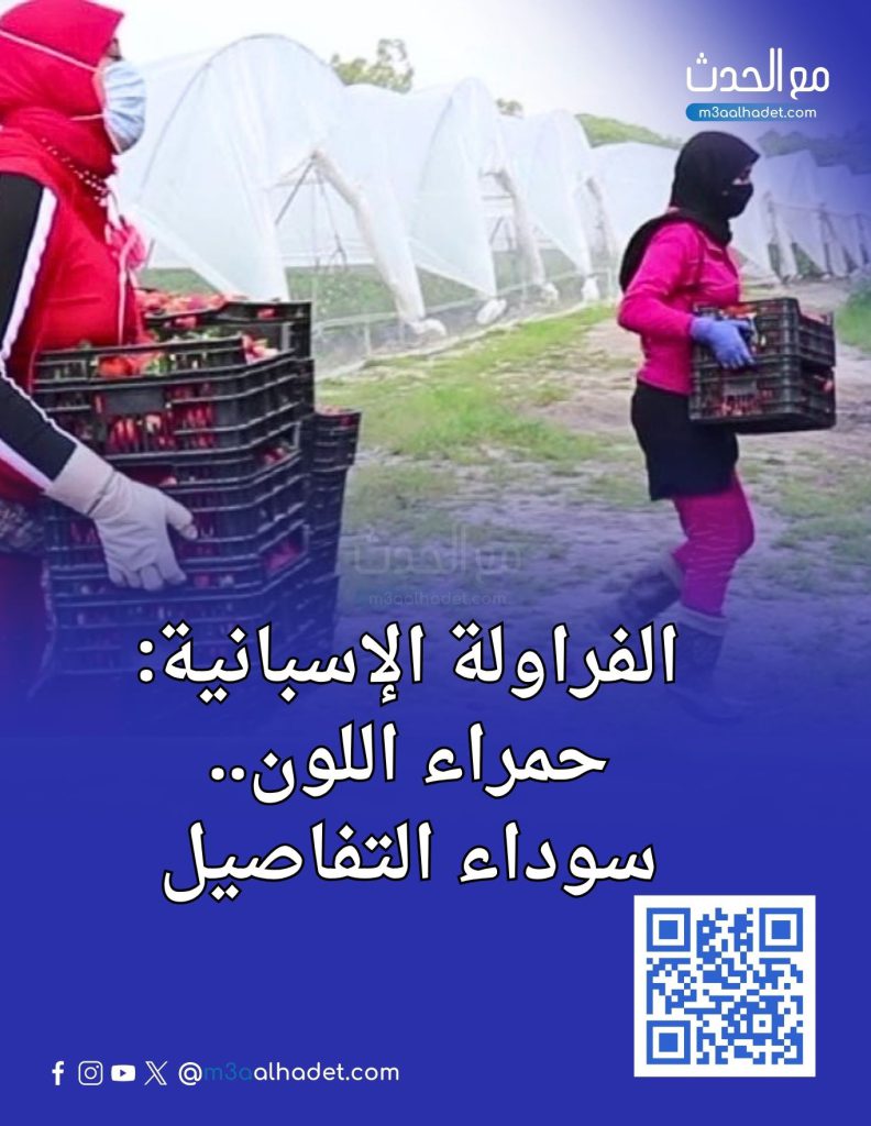 وردي أزرق و أبيض مرح فتيات الكشافة غلاف دفتر ملاحظات رقمي (عمودي)