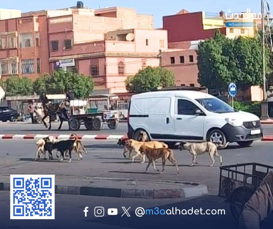 مع الحدث ma3alhadet 75