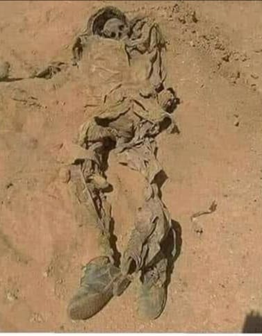 نداء وفاء: من أجل لم شمل رفات شهداء حرب الصحراء المغربية في مقبرة وطنية.. 1000497606
