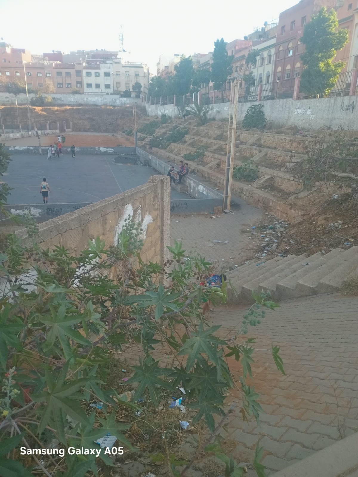 IMG 20261013 WA0033
